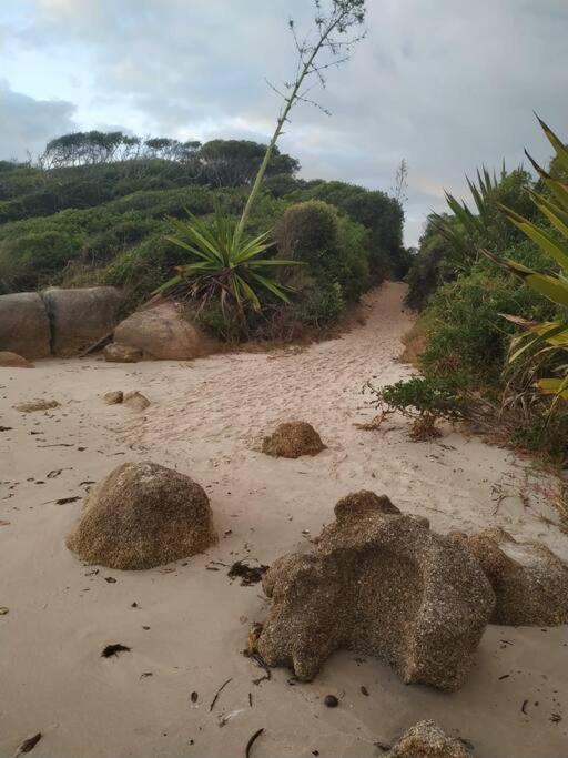 Apto 80M Da Praia Grande Vista Mar! Governador Celso Ramos Kültér fotó